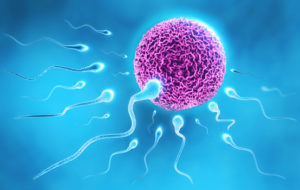 Natural Ways to Boost Fertility in Men